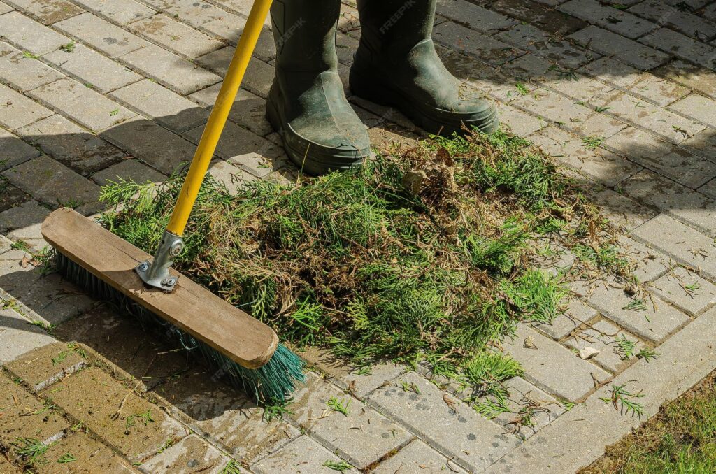 imgi 50 gardener is sweeping grass clippings from stone pathway bright sunlight high qualit