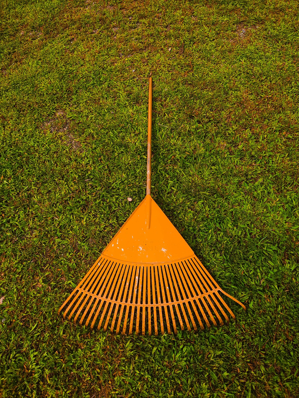 lawn rake